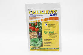 CALICUIVRE 50 WP