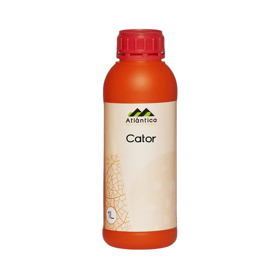 Cator