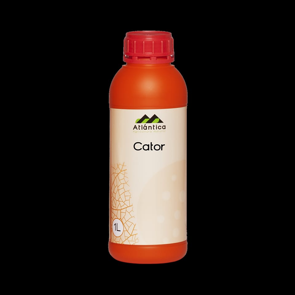 Cator