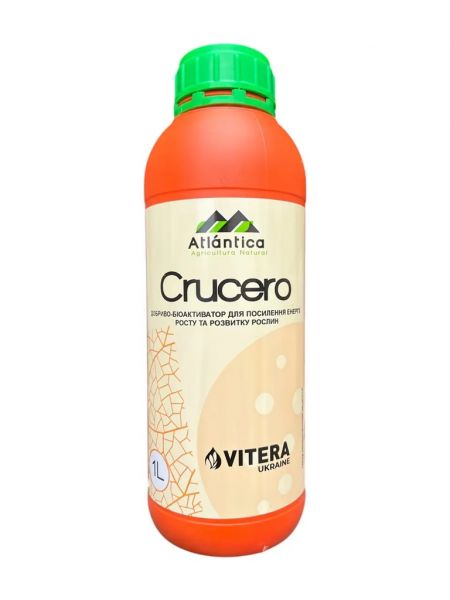 Crucero