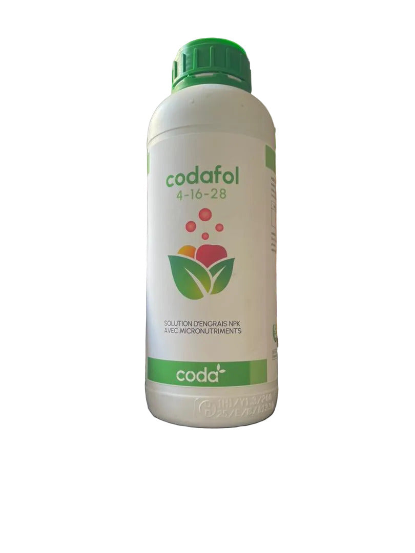 CODAFOL 4-16-28