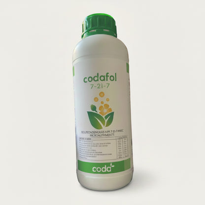 CODAFOL 4-16-28