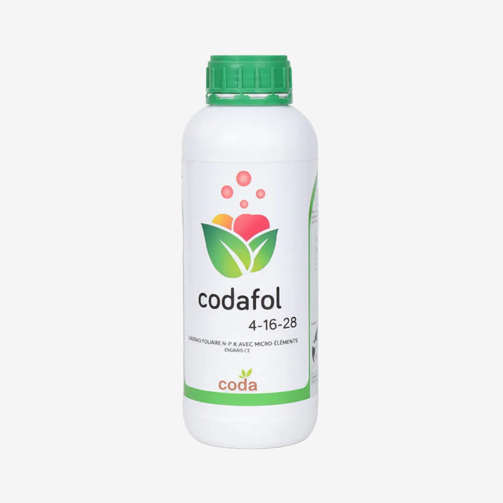 CODAFOL 4-16-28